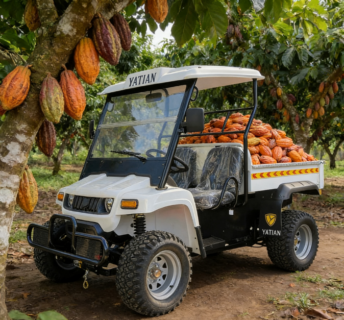 Electric Utility Cart-9 