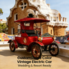 Carro elétrico de turismo vintage em cores personalizáveis ​​- perfeito para casamentos, resorts e atrações turísticas