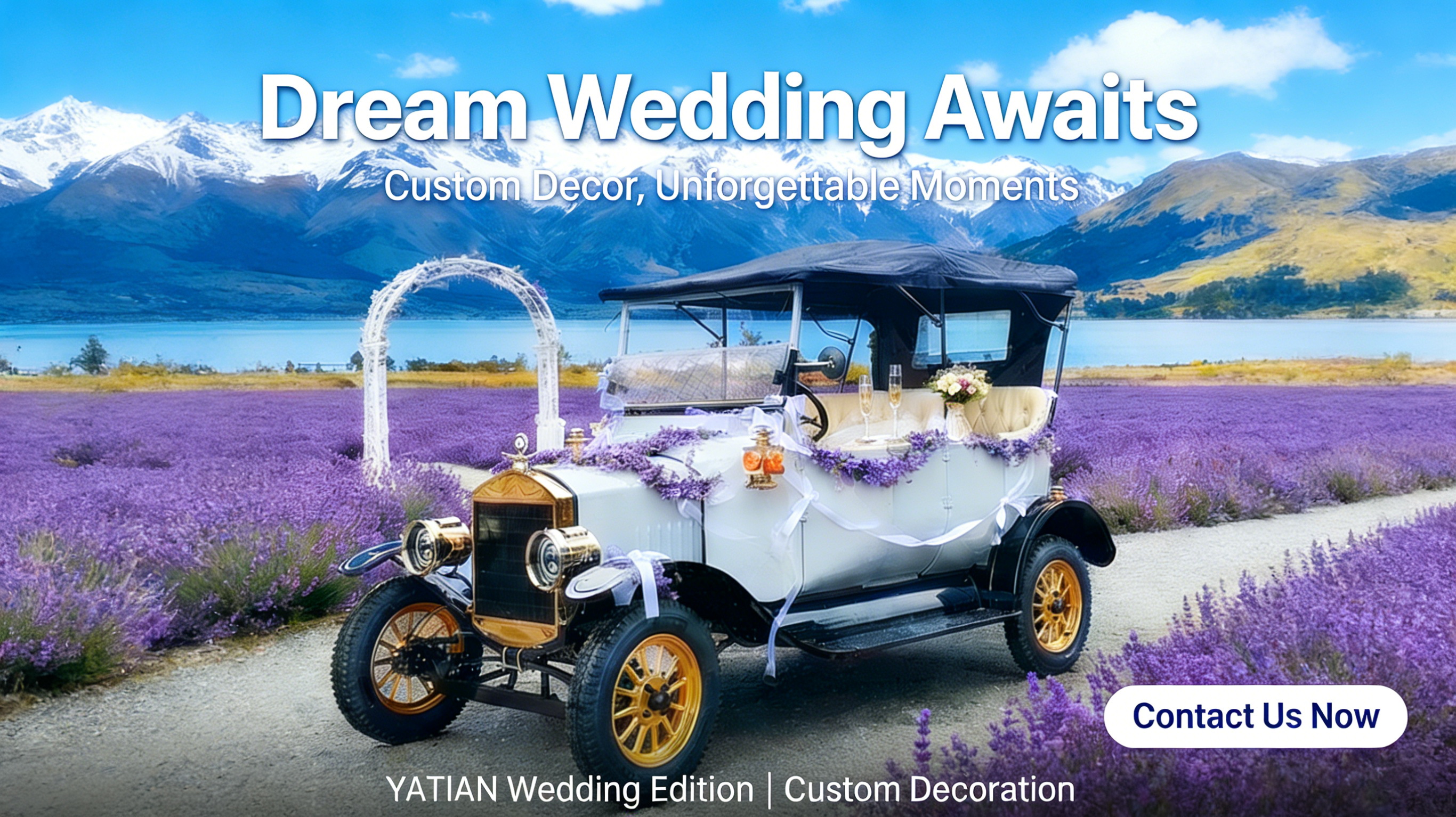 Ve&iacute;culos tur&iacute;sticos cl&aacute;ssicos