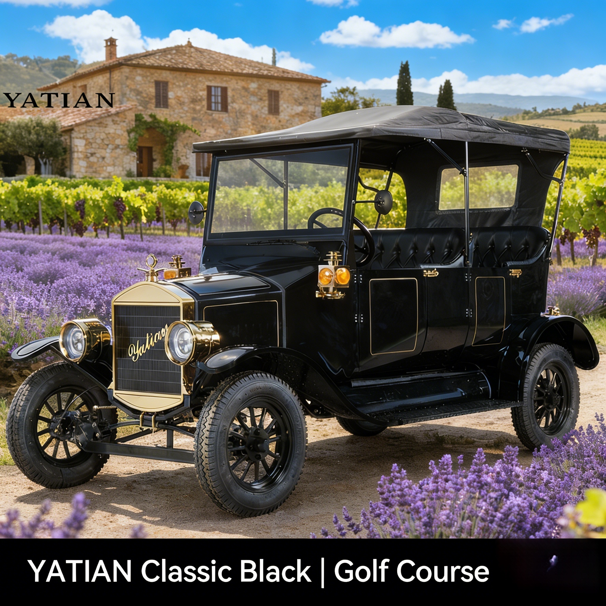 Carrinho de golfe cl&aacute;ssico (4)