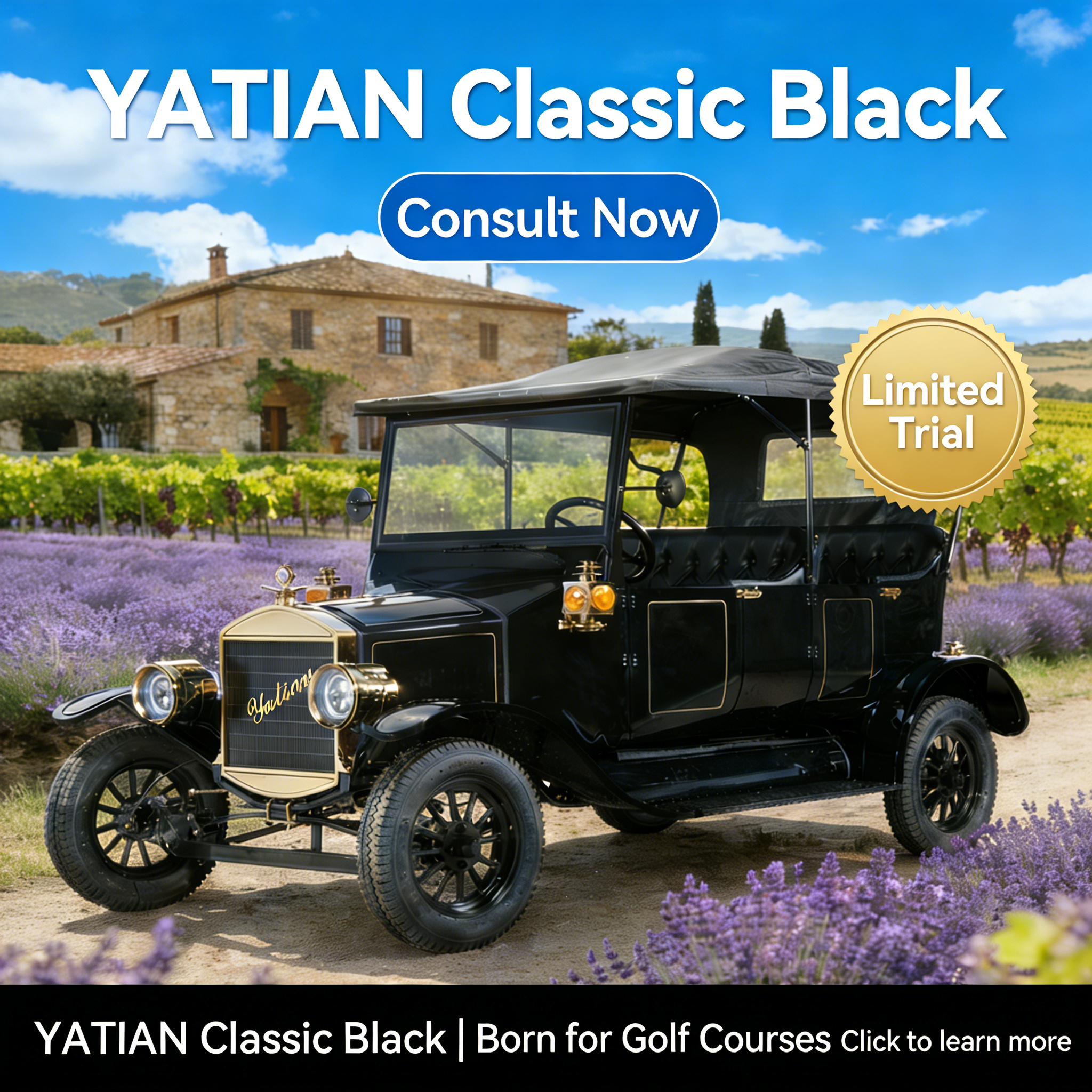 Experi&ecirc;ncia Vin&iacute;cola Cl&aacute;ssica