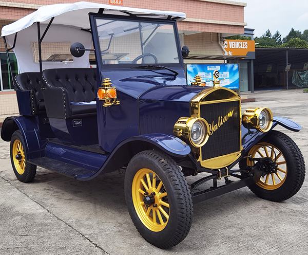 Multipurpose High Quality 30km/h LSV Vintage Car 