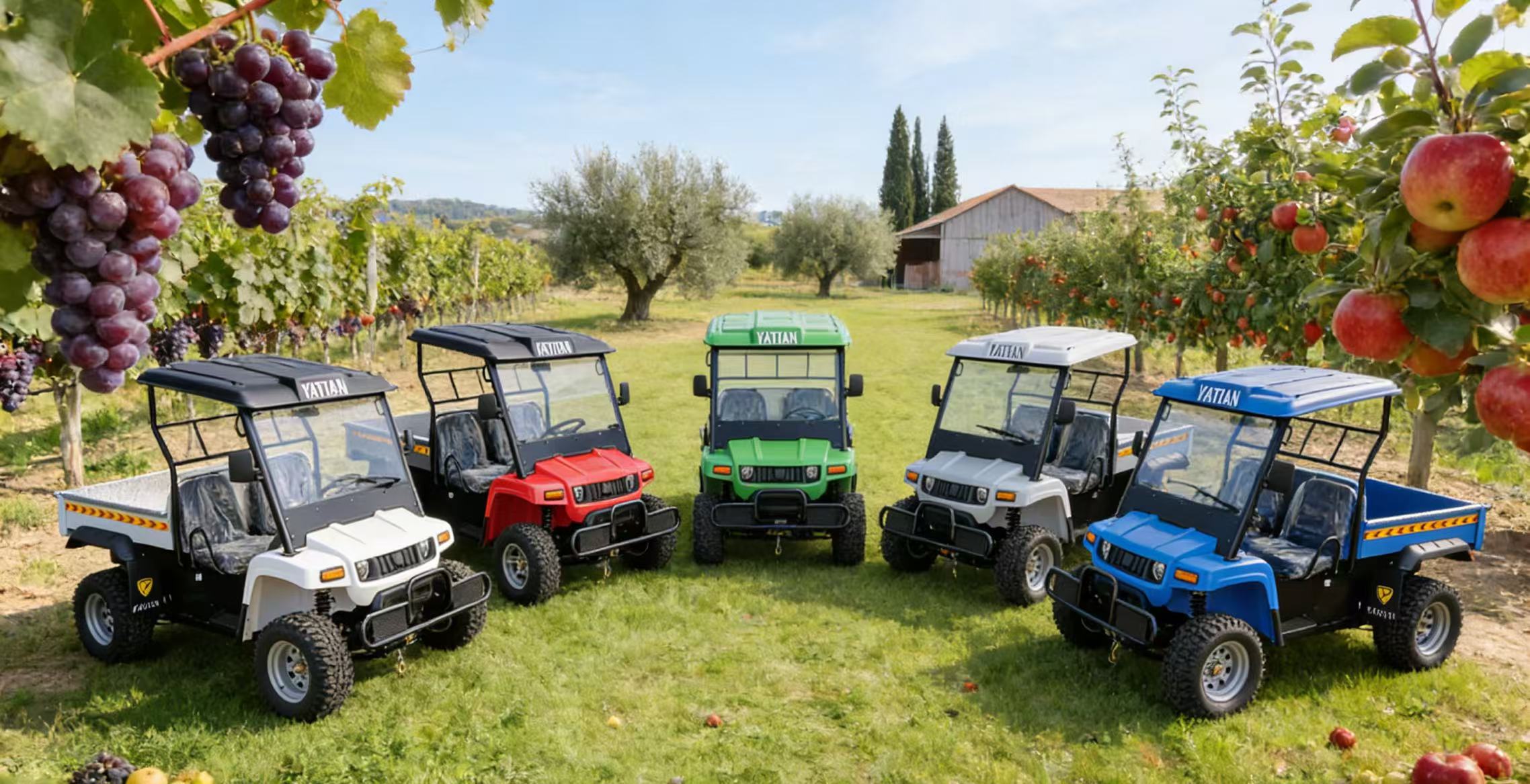 微信图片_20251205134837