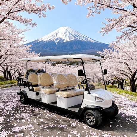 Carrinho de golfe turístico elétrico de 8 lugares, veículo de transporte para resort YATIAN China Fabricante