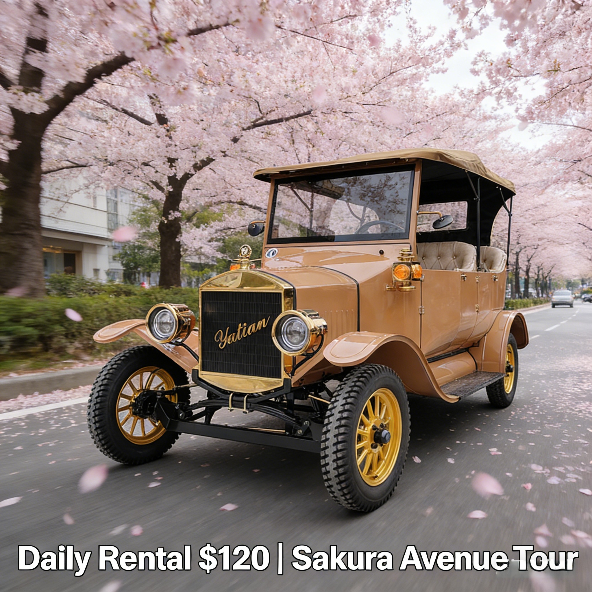 1c499480ff0e4861a3b0916073758d3a