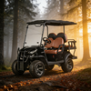 Yatian Electric UTV 4x4: o carro-chefe todo-o-terreno para tarefas de caça, agricultura e off-road