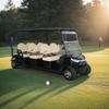 Carrinho de golfe Yatian GQ06C de 6 lugares com motor 48V 5KW de alto desempenho e durável